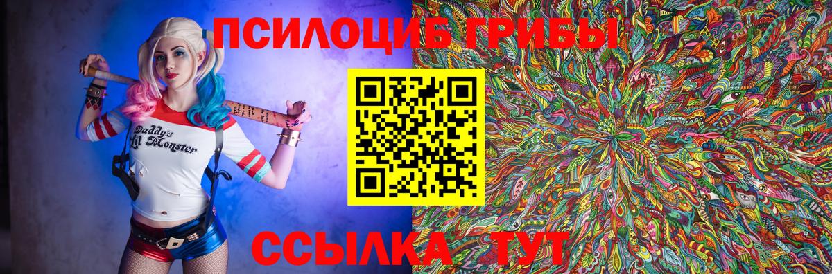 Новочеркасск  Псилоцибиновые грибы GOLDEN TEACHER  Вход с VPN 