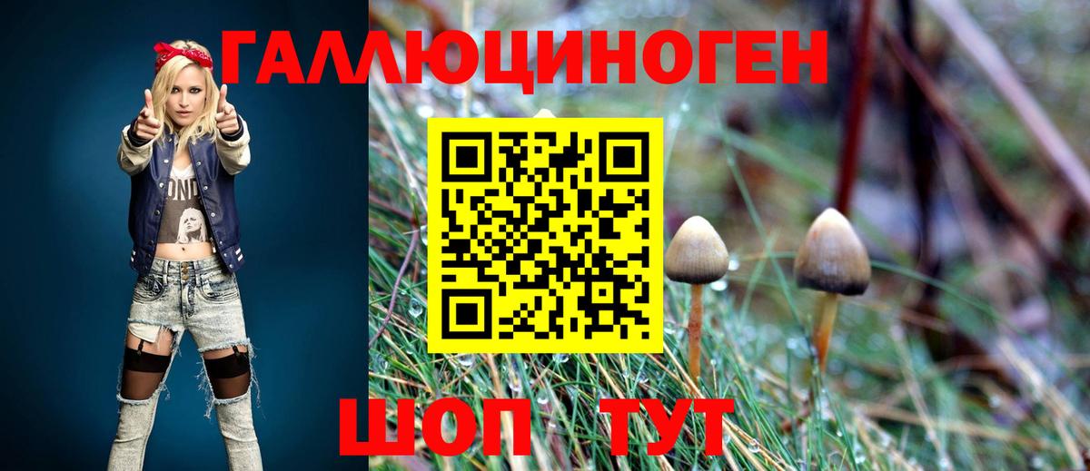 Псилоцибиновые грибы Psilocybine cubensis Новочеркасск